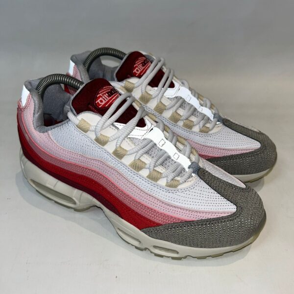 Nike Air Max 95 “Anatomy of Air” - Imagem 2