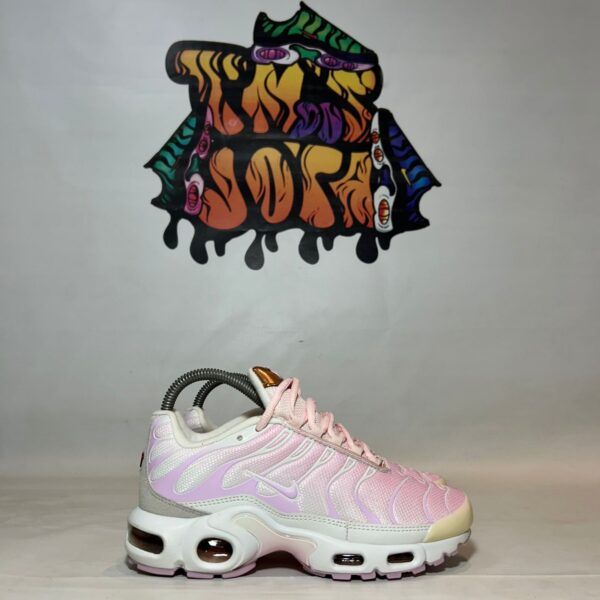 Air Max Plus TN 1 “Cooper”
