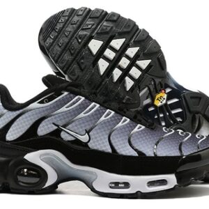 Air Max Tn 1 'Black Metallic'