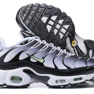Air Max Tn 1 'Seafoan'